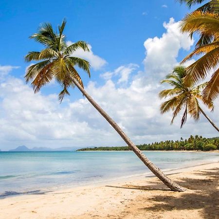 Appartement Ker-Eol Residence Canouan Sainte-Anne Avec Piscine Luaran gambar